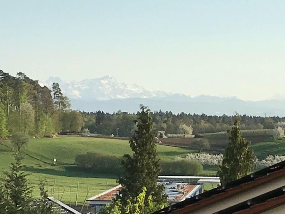 Ferienwohnung 24 Tettnang Exteriör bild